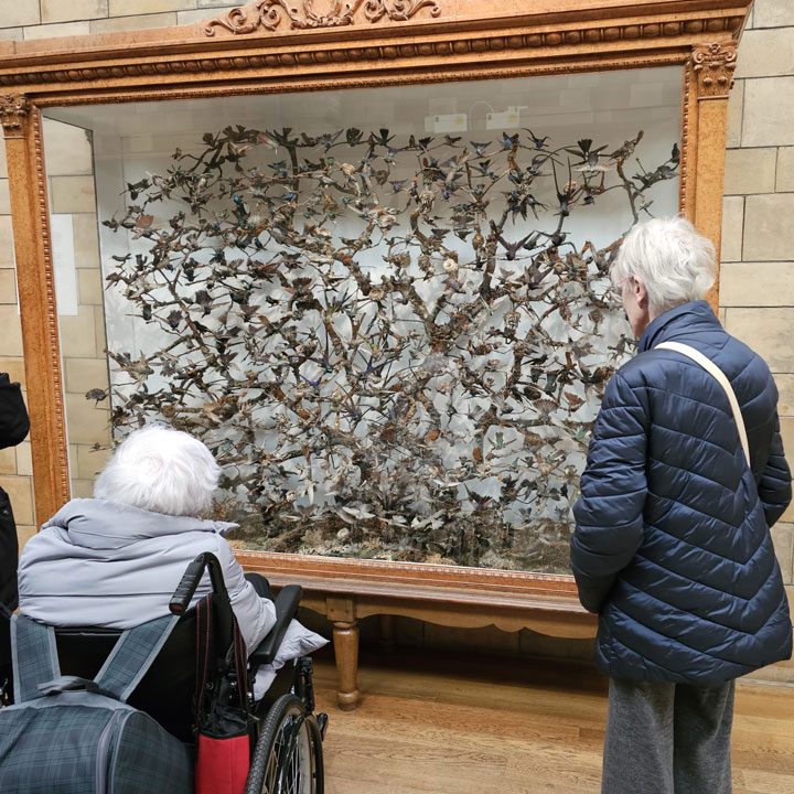 Austenwood Residents Explore The Natural History Museum